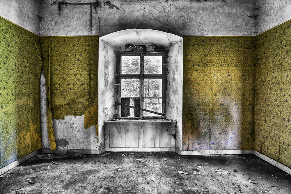 Platz 8 Willi Bitzer